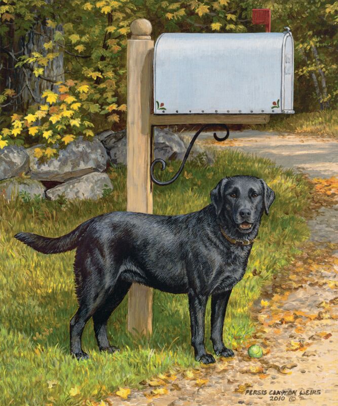 Life's a Ball—Black Lab