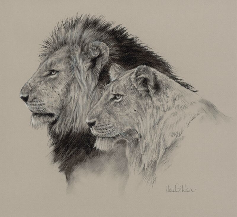 Lion Pair Charcoal by Ron Van Gilder