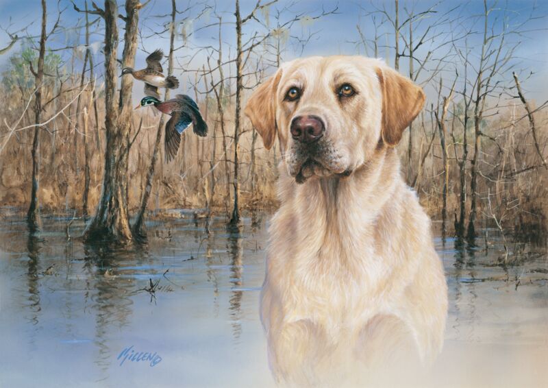 Marsh Memories by Jim Killen