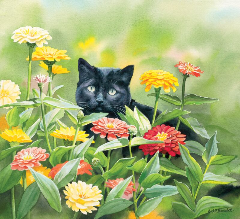 Max Among the Zinnias