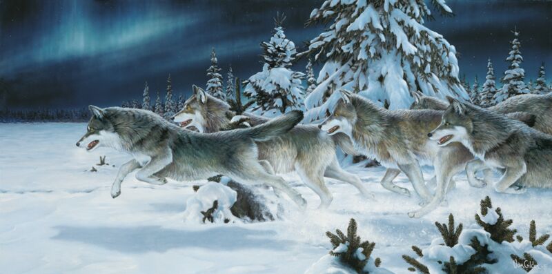 Midnight Run—Timberwolves by Ron Van Gilder