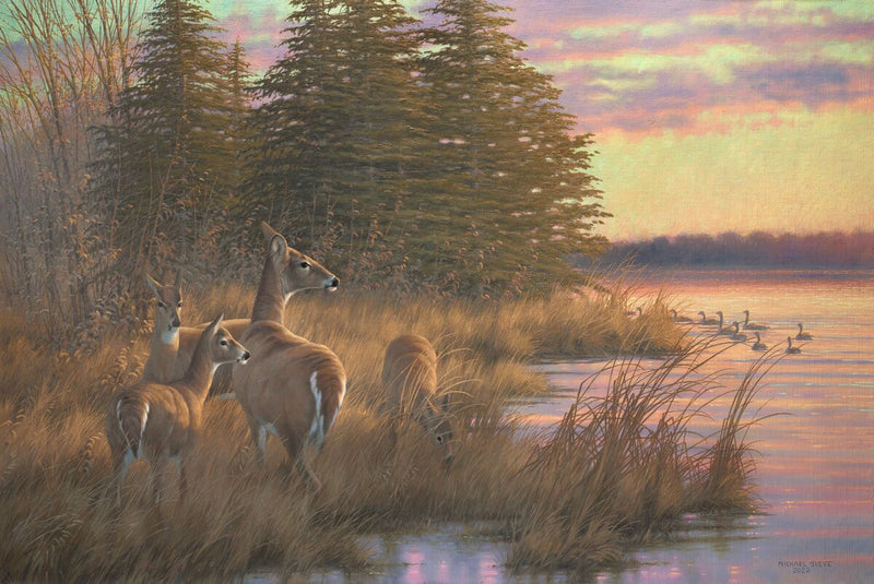 Missouri Does and Fawns