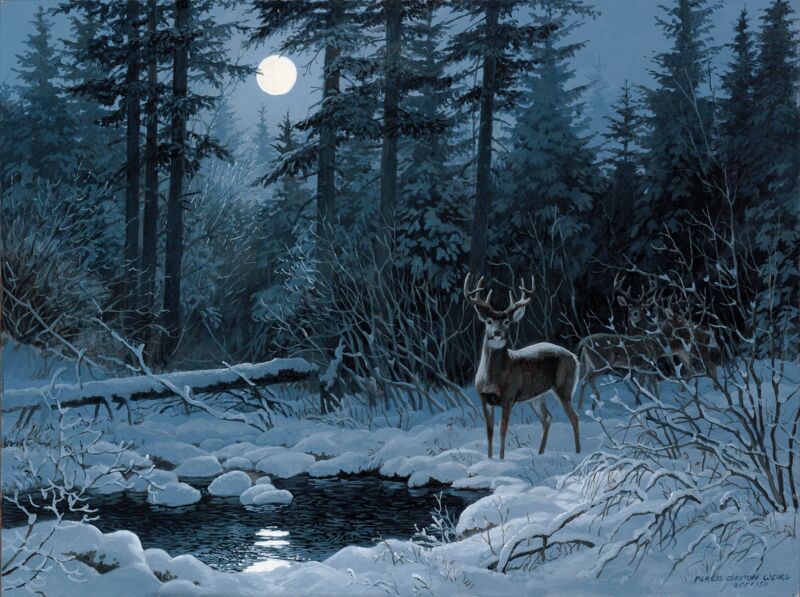 Moonlight Trio—Whitetail Deer