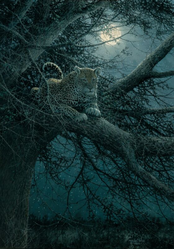 Moonwatch—Leopard by Michael Sieve