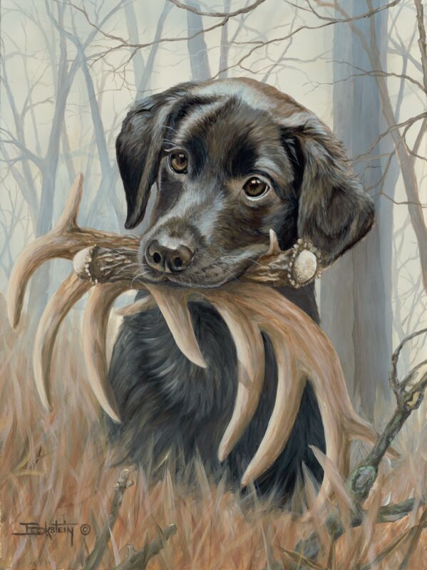 More Than a Mouthful—Black Lab by Larry Beckstein