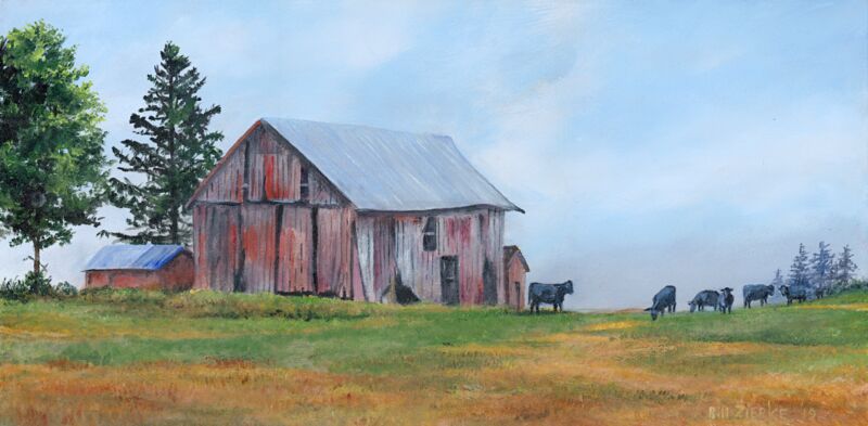 Morning Mist—Black Cows