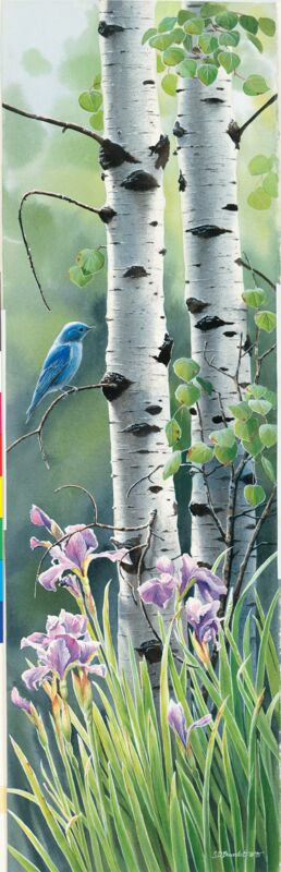 Mountain Memories—Bluebird