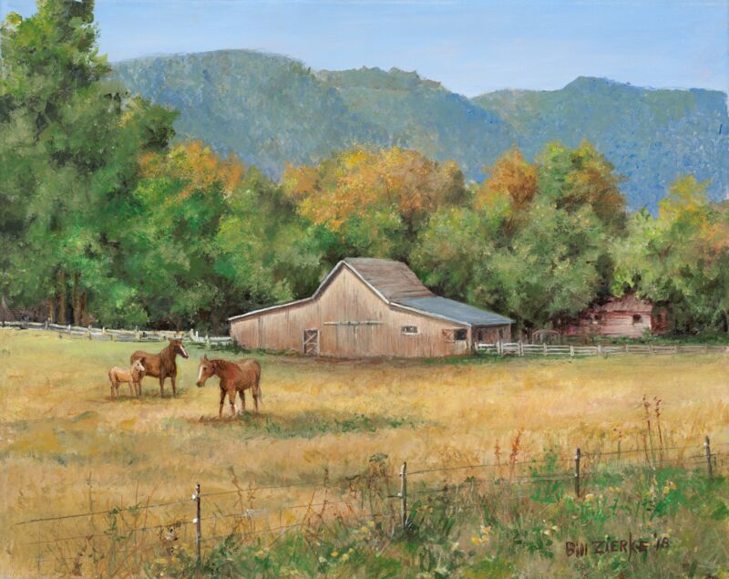 Mountain Ranch—Horses