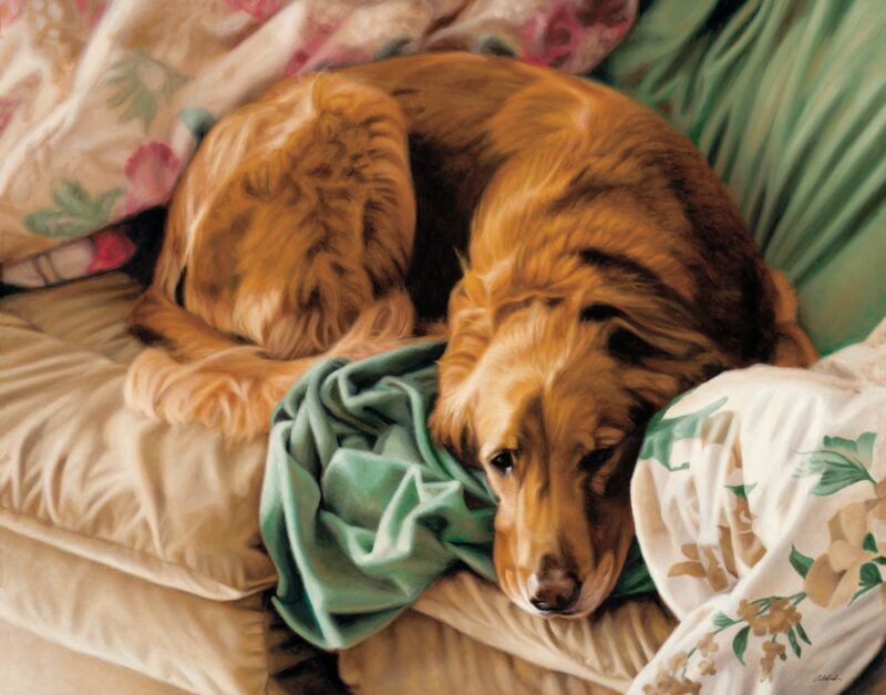 New Year's Day—Golden Retriever