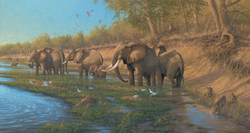 On the Banks of the Great Zambezi