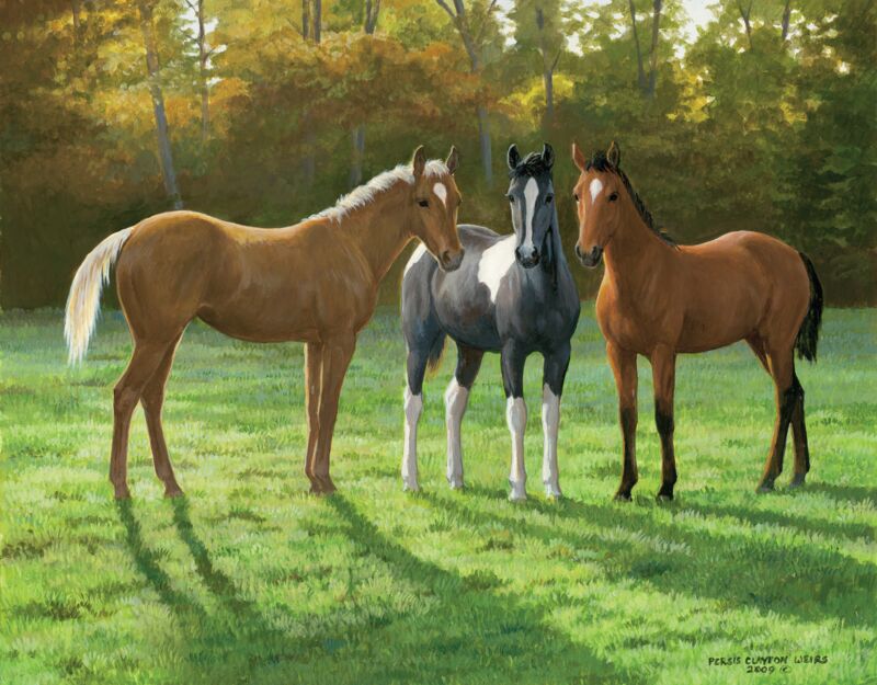 Palomino, Paint and Bay—Horses