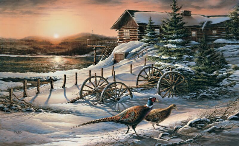 Peaceful Evening—Pheasants