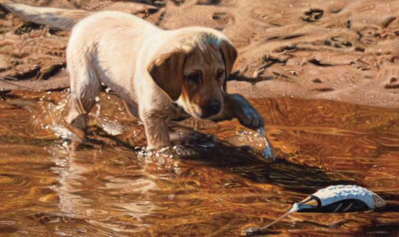 Piddle Paddle Pup—Yellow Lab