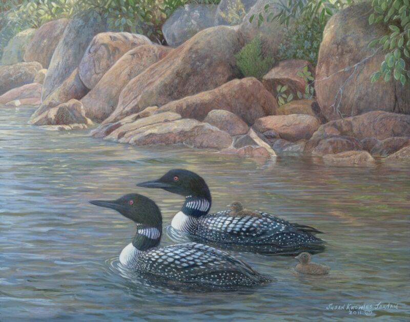 Pink Granite Rock—Loon