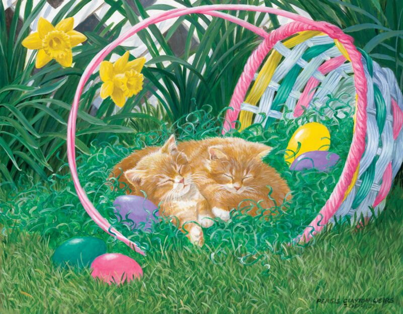 Played Out—Kittens