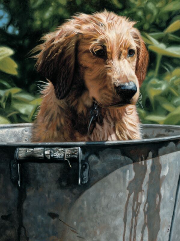 Puppy Stew-Golden Retriever