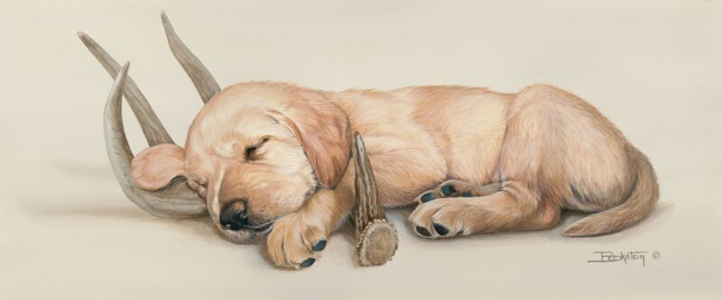 Rack 'Em Up—Yellow Lab