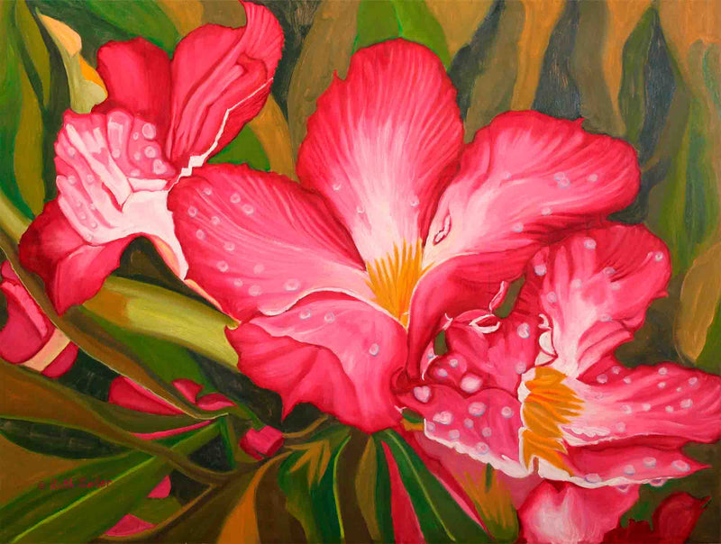 Raindrops On Hibiscus