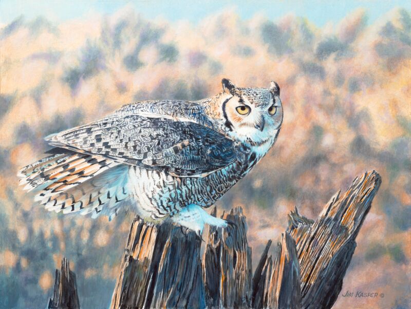 Ready for Action—Great Horned Owl