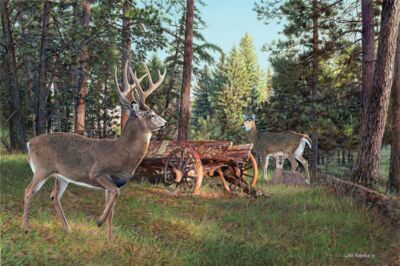 Red Wagon Whitetails