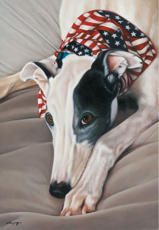 Red, White and Grey—Greyhound