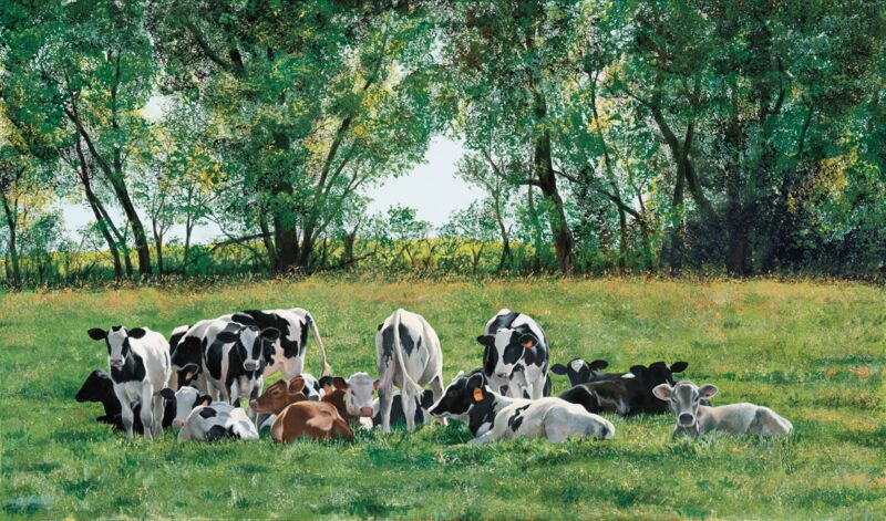 Rendezvous at Two—Cows