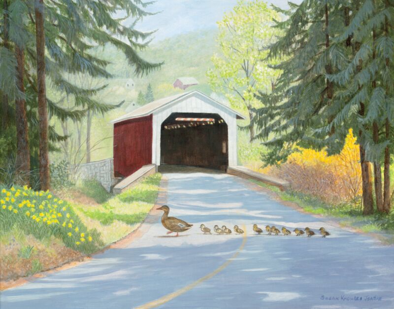 Rites of Spring—Mallard & Ducklings