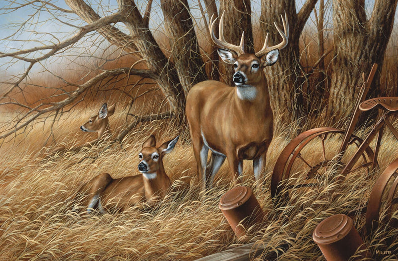 Rustic Retreat—Whitetail Deer by Rosemary Millette