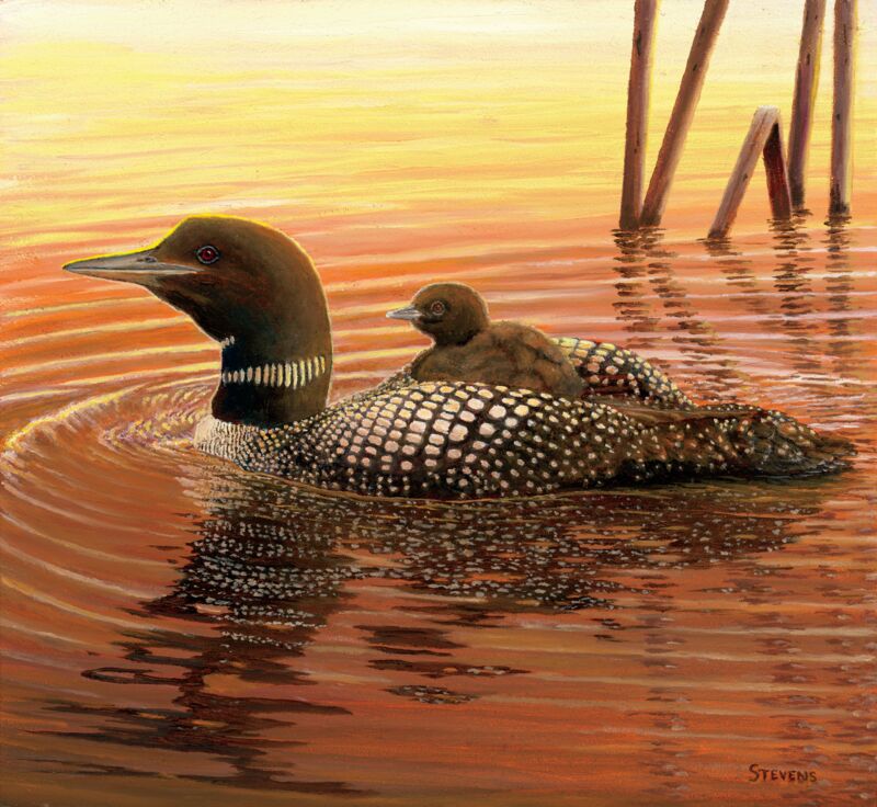 Safe & Secure at Sunset