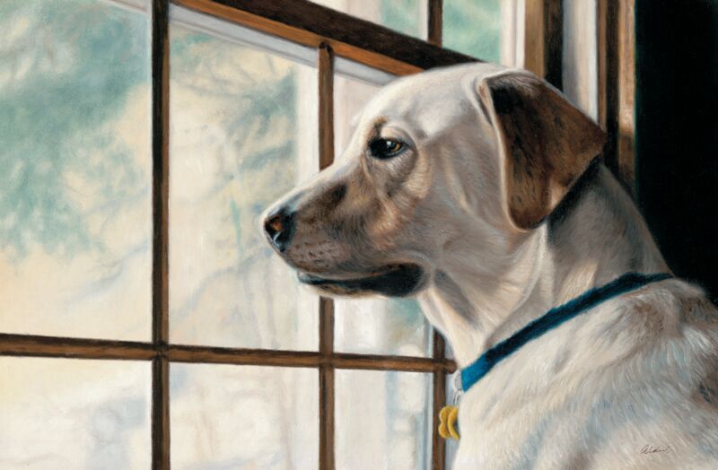 School Bus—Yellow Lab