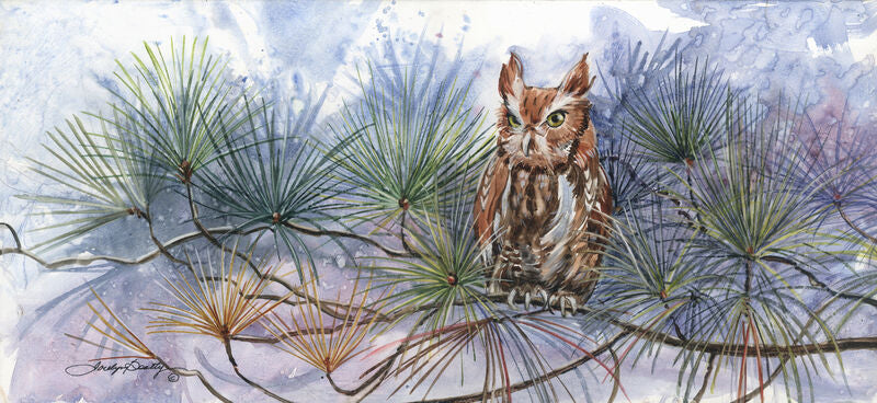 Screech Owl in the Pines