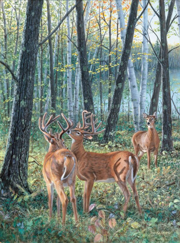 Seasons of the Woods - In Velvet