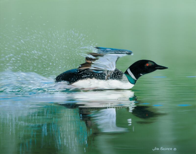 Smooth Landing—Loon