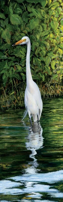 Snacking on Fish—Egret