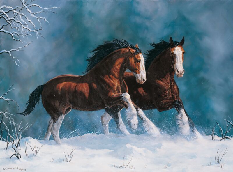 Snow Kings—Clydesdales