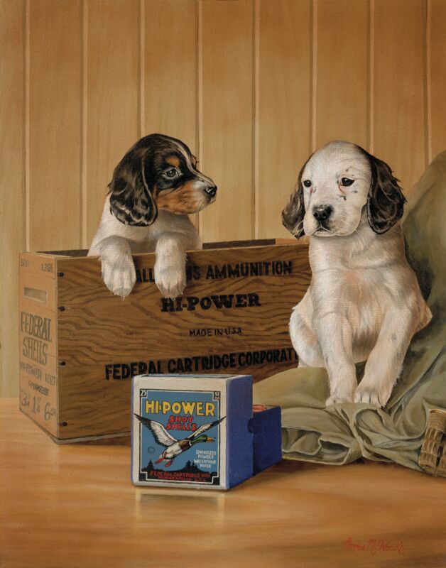 Something Old Something New-Dogs