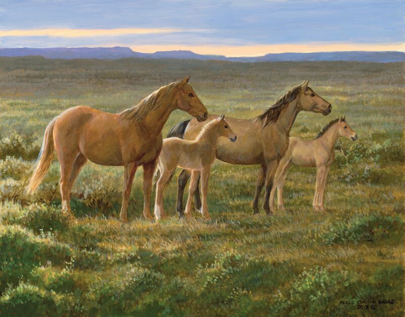 Something in the Wind