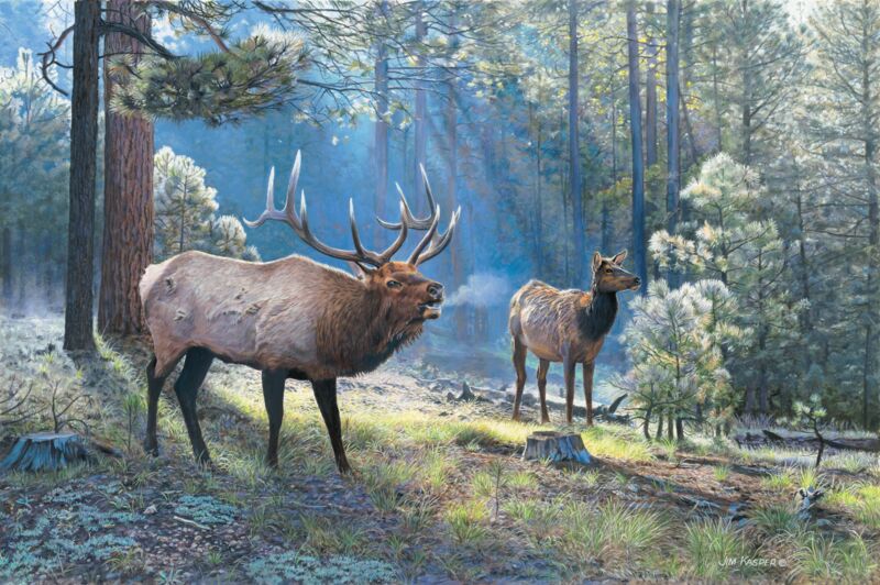 Spirited Exchange—Elk