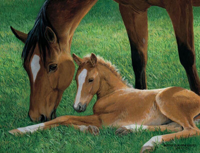 Spring—Colt & Mare