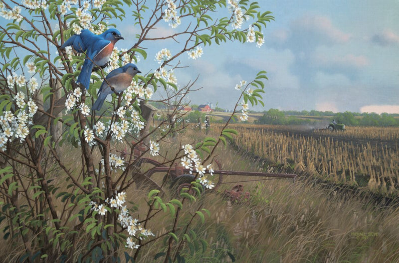 Springtime Blues - Bluebirds