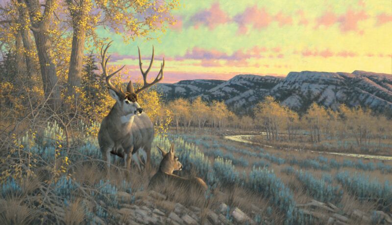 Stand with Me—Mule Deer
