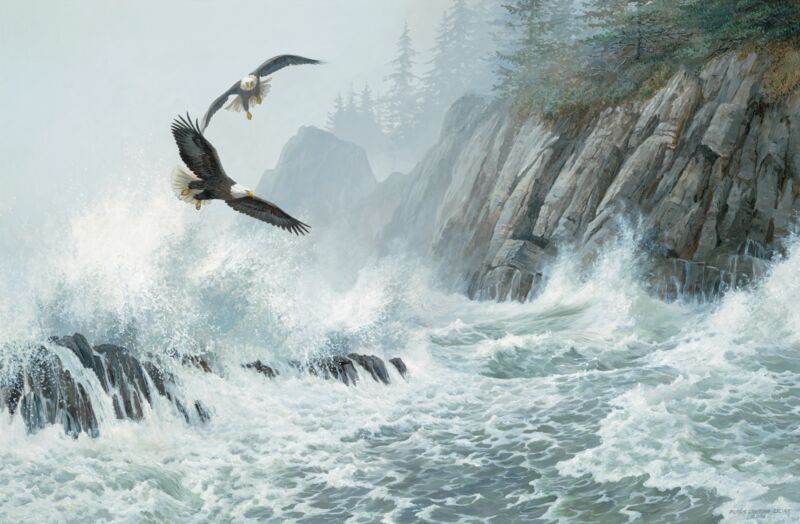 Storm Riders-Bald Eagles