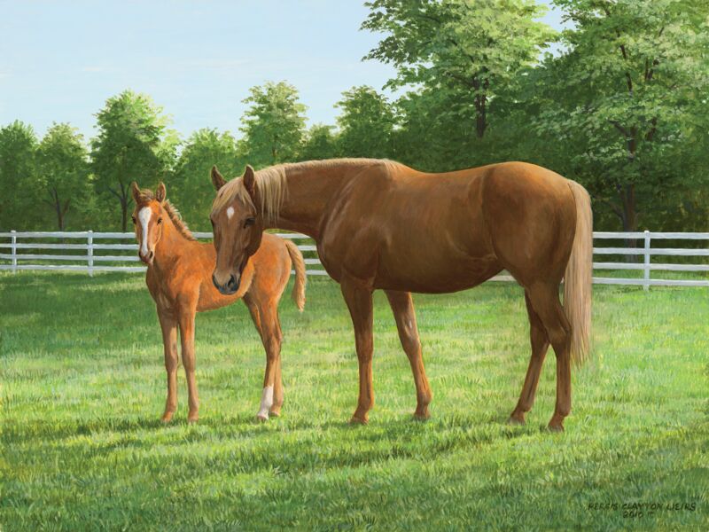 Summer Morning—Horses