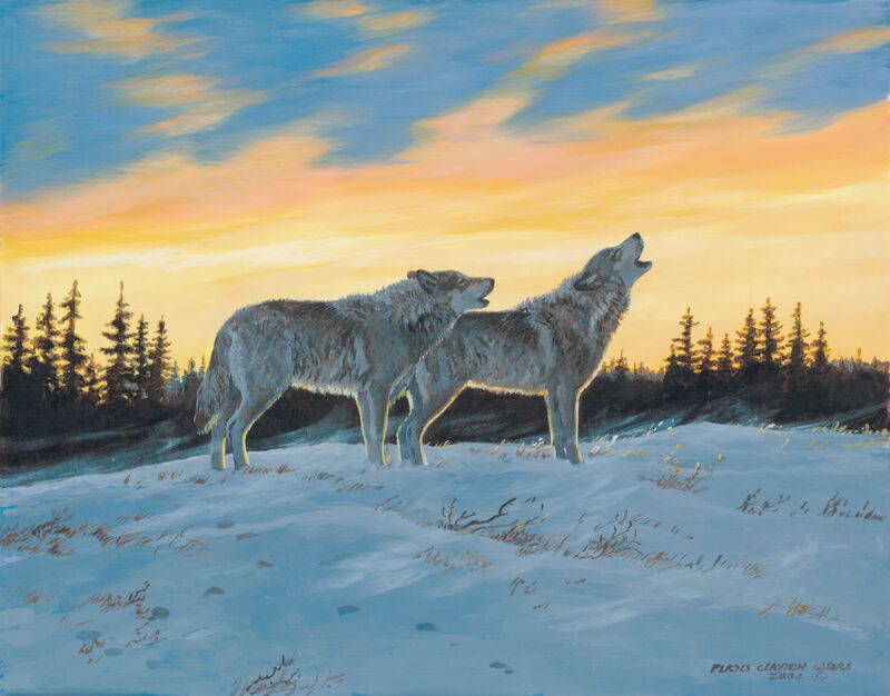 Sunrise Song—Wolves
