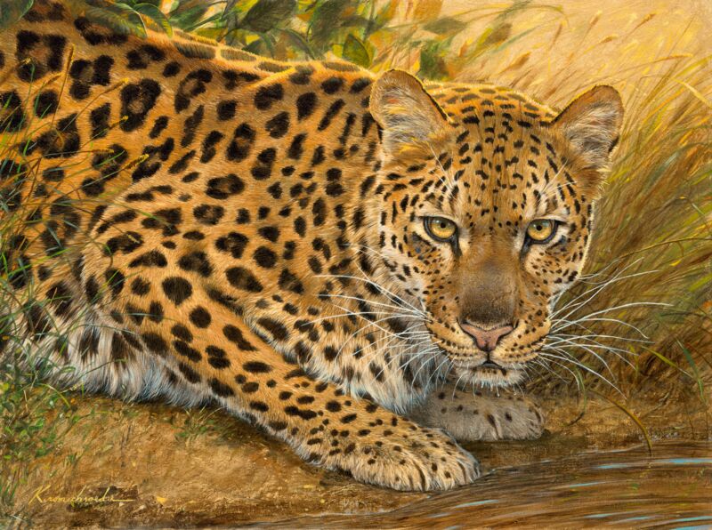 Sunrise at the Water—Leopard