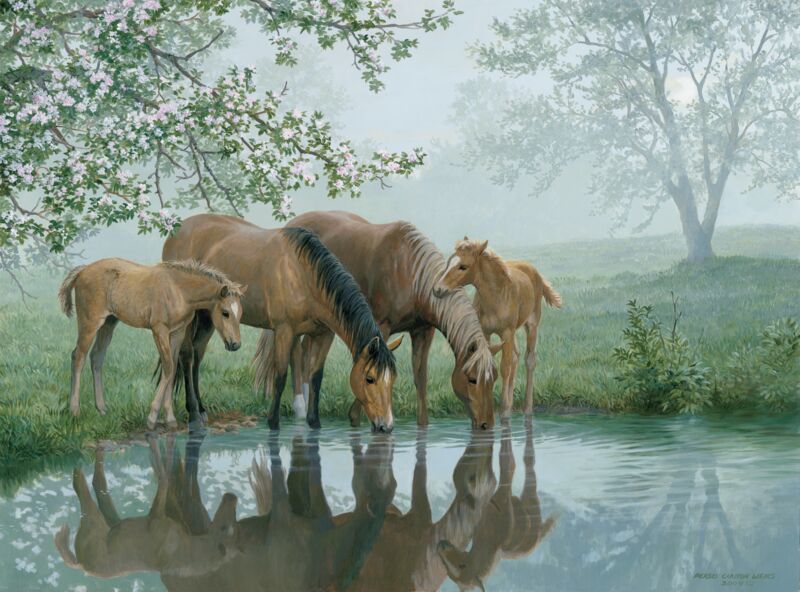 Sweet Spring—Horses