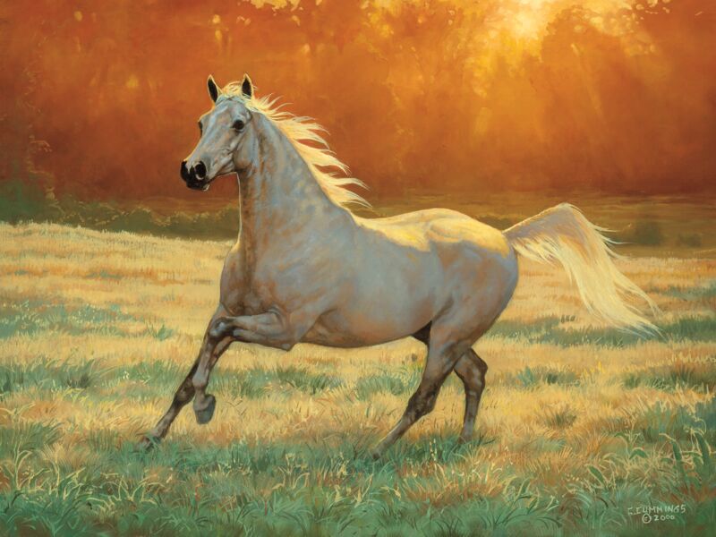 That's My Horse - Arabian Gray by Chris Cummings