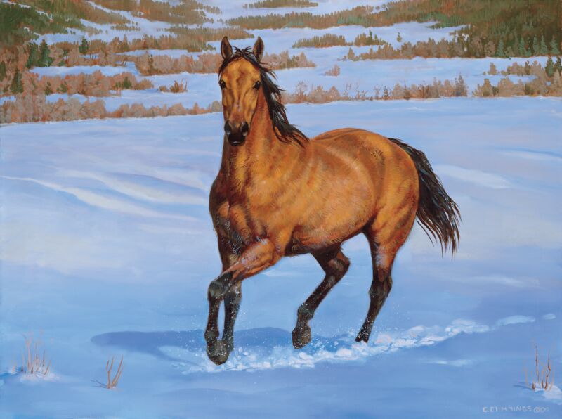 That's My Horse - Quarter Horse - Buckskin