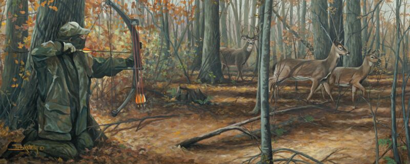 The Buck Stops Here—Whitetail Deer
