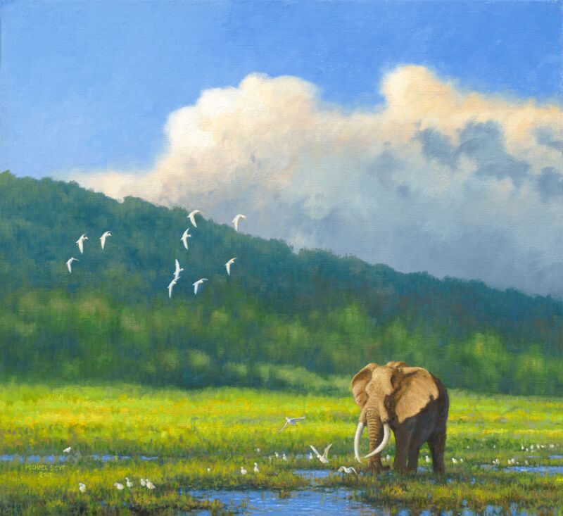 The Elephant - Paul Kruger by Michael Sieve